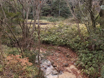 写真拡大