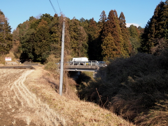 写真拡大