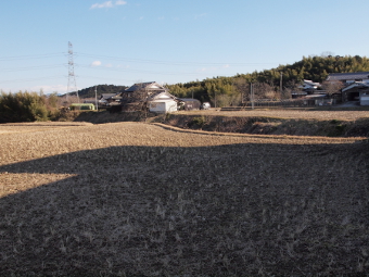 写真拡大