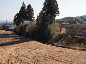 写真拡大