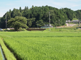写真拡大
