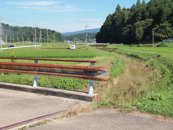写真拡大