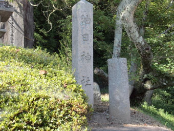 写真拡大
