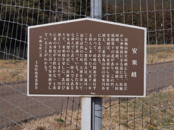 写真拡大
