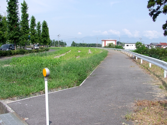 写真拡大