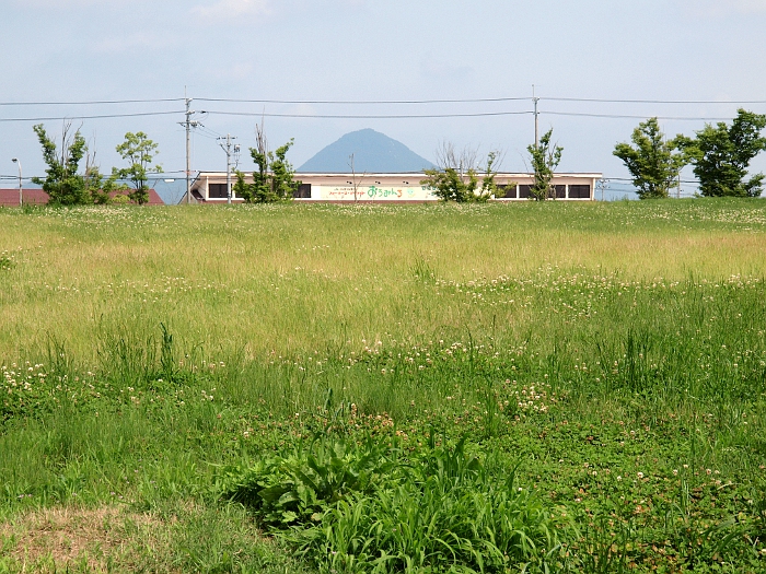 写真拡大