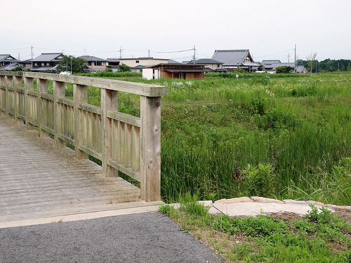 写真拡大