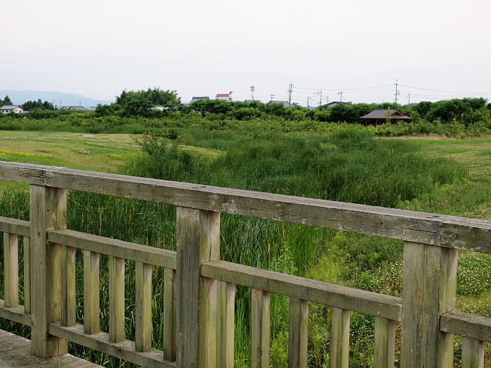 写真拡大