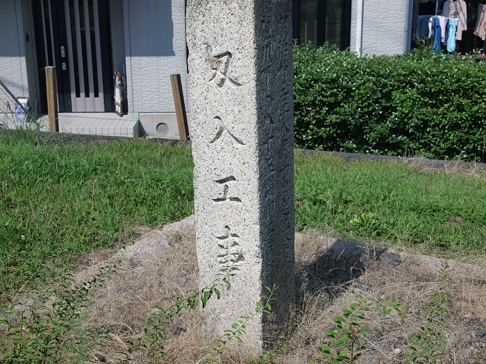 ʐ^g